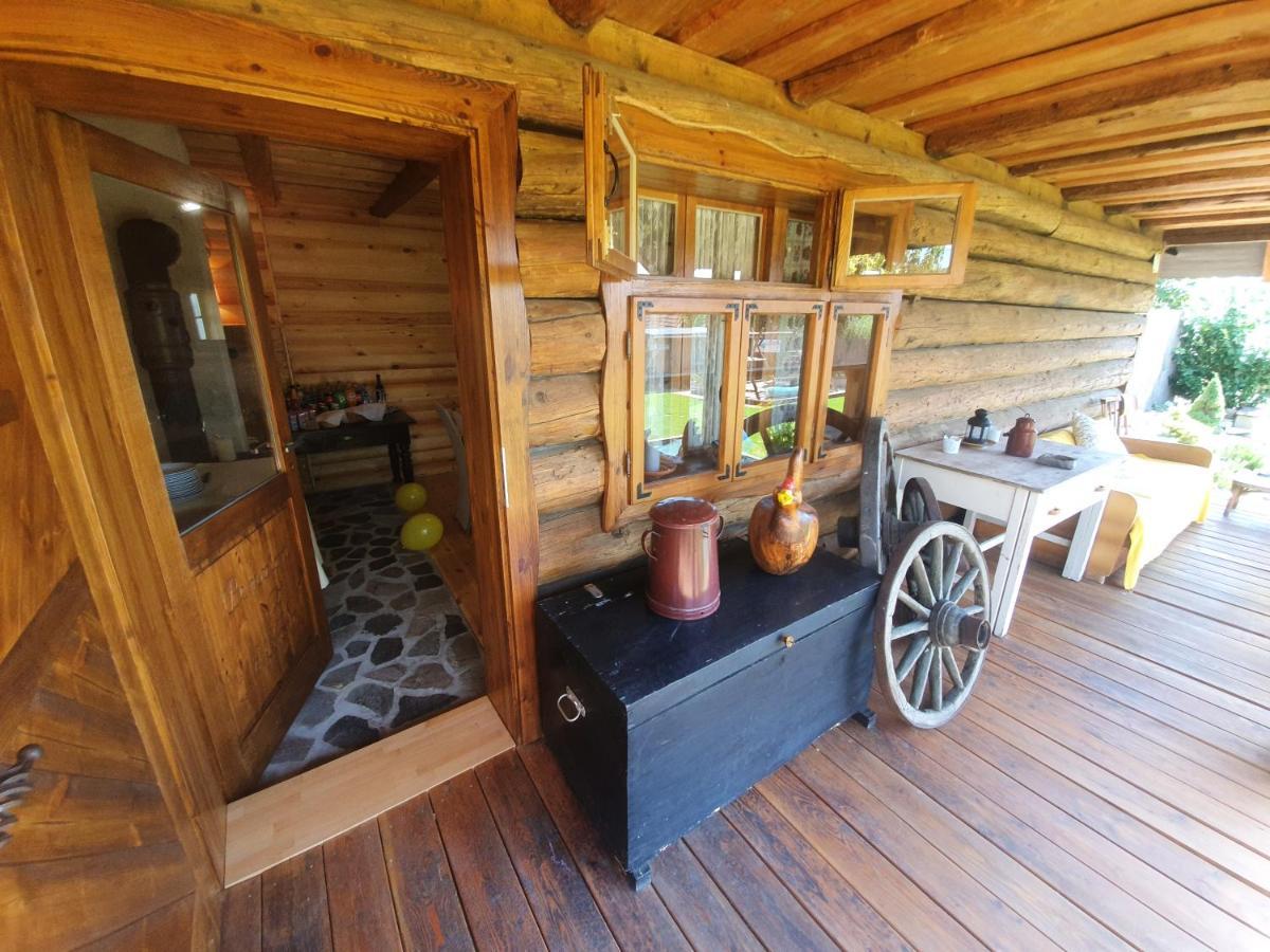 Agropenzion 7Divov Dolna Krupa Exteriör bild