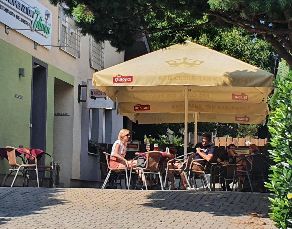 Agropenzion 7Divov Dolna Krupa Exteriör bild
