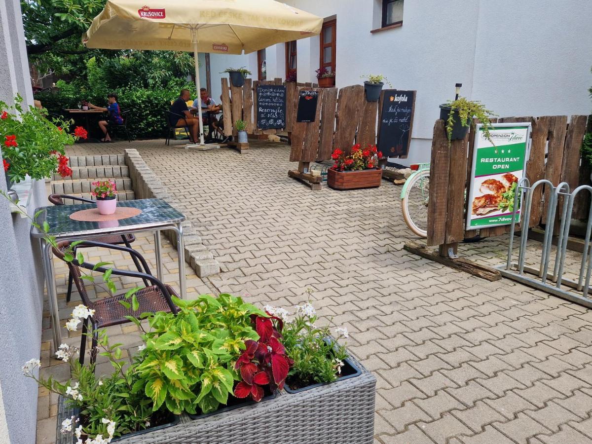 Agropenzion 7Divov Dolna Krupa Exteriör bild