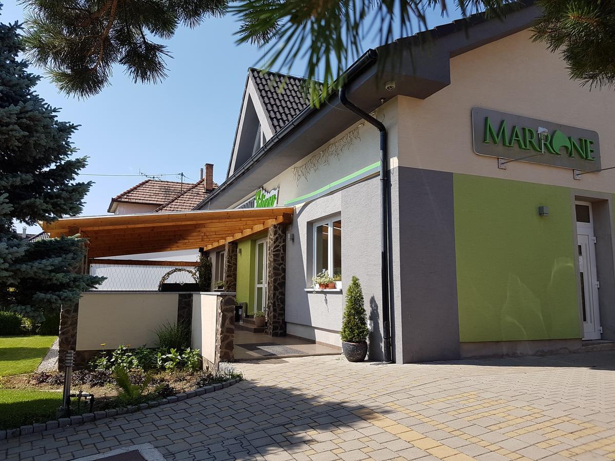 Agropenzion 7Divov Dolna Krupa Exteriör bild